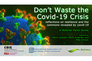 Don't Waste the Covid-19 Crisis: Reflections on Resilience & the Commons Revealed by Covid-19