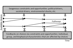 Resilience as pathway diversity: linking systems, individual, and temporal perspectives on resilience